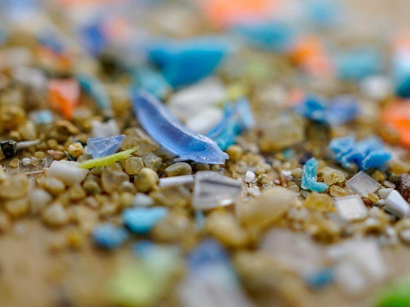 微塑料混杂在泥沙中